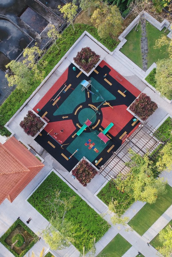 Comment favoriser la biodiversité dans une cour de récréation ?